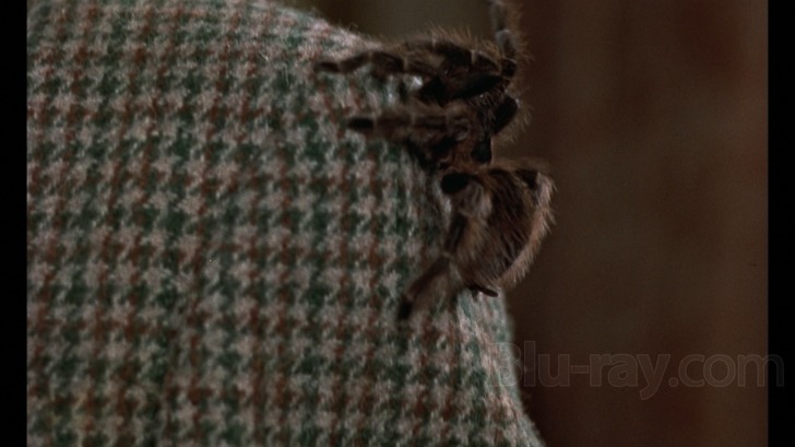 Description: Macintosh HD:Users:eliseofigueroa:Desktop:blog:the hound of the baskervilles:13683_5.jpg