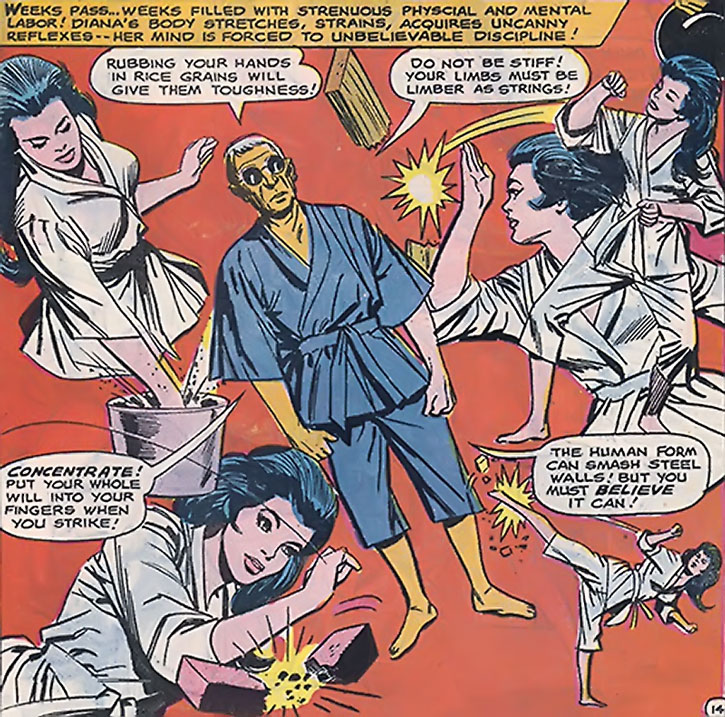 Description: Macintosh HD:Users:eliseofigueroa:Desktop:blog:WONDER WOMAN:Wonder-Woman-DC-Comics-1960s-Situation-requires-karate-h.jpg